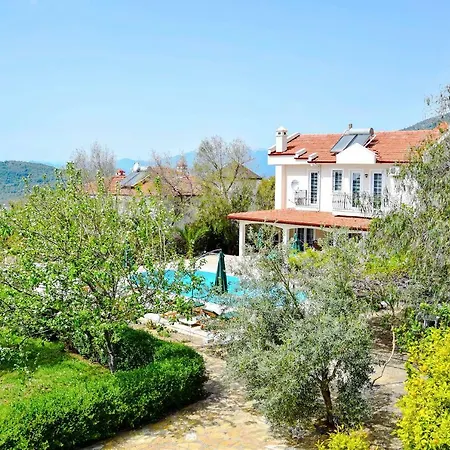 Villa Paradise Found *